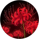 Лисенко Дмитро