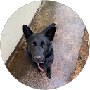 Іван Карпенко