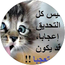 Залозна Оля Залозна Оля